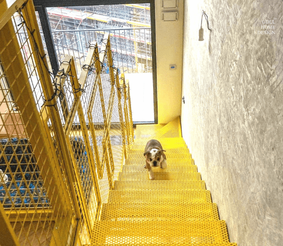 Żółte schody metalowe z balustradą z siatką stalową GDEL