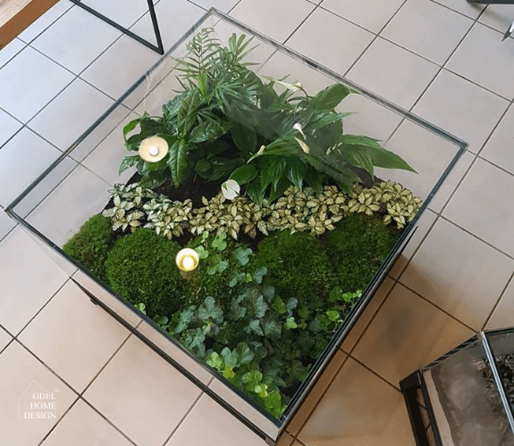 szaklany stolik z roślinami wewnątrz GDEL